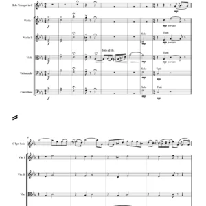 Czardas for Solo Trumpet and Strings - V. Monti